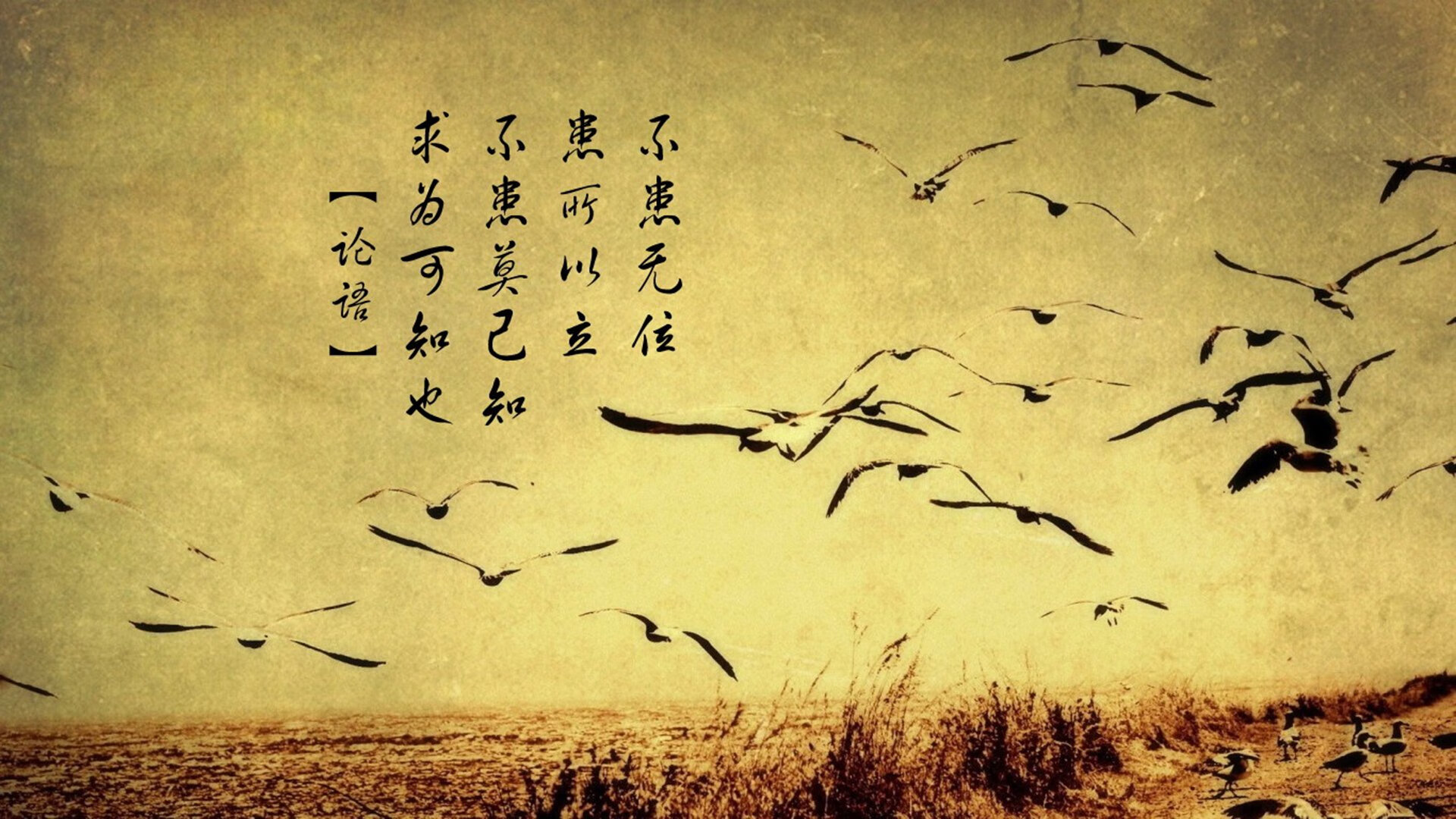 《电竞场馆升级：硬件设施引领行业新标准》，电竞场馆设计规范