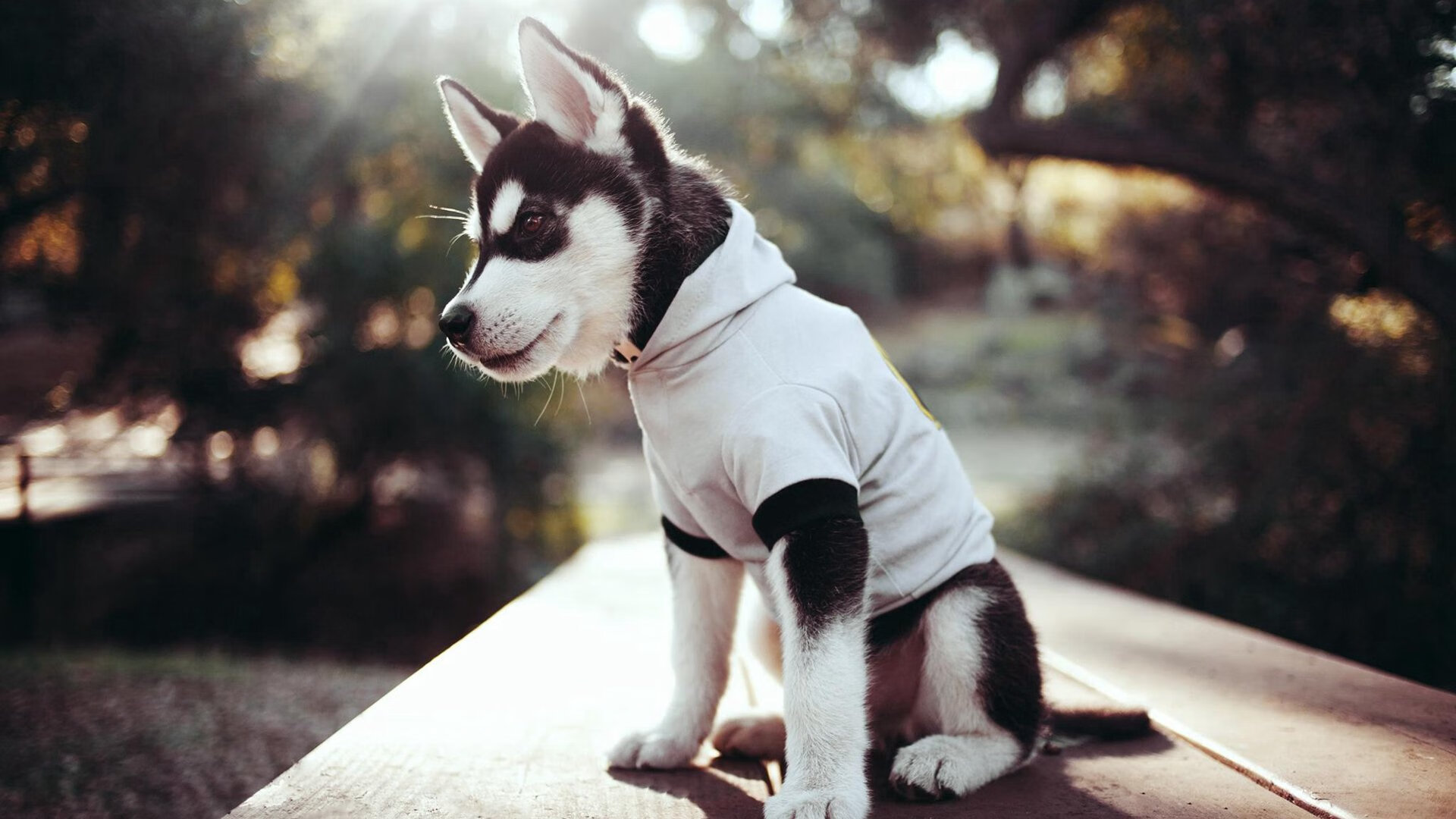 中国男足在巴黎奥运会上表现出色，赢得多场比赛，中国男足在奥运会最好成绩