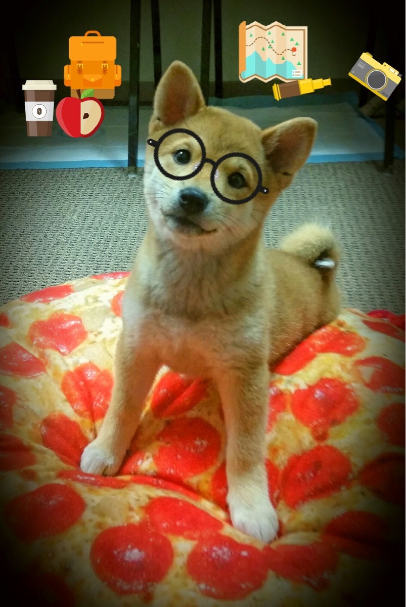 夜光漂流激流探险，黑暗中寻求速度快感，夜光漂怎么制作方法