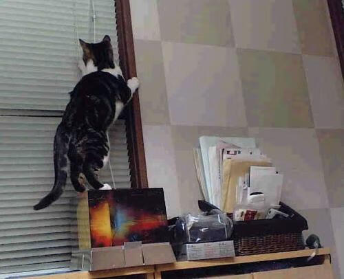 夜光漂流激流探险，黑暗中寻求速度快感，夜光漂怎么制作方法