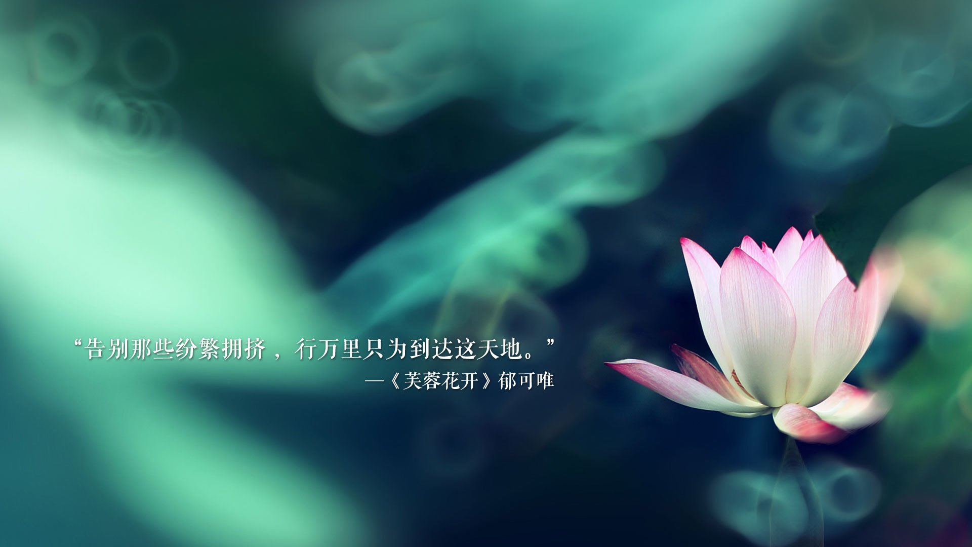 _鹈鹕延续逆境反击，战胜联盟劲旅_，zion鹈鹕