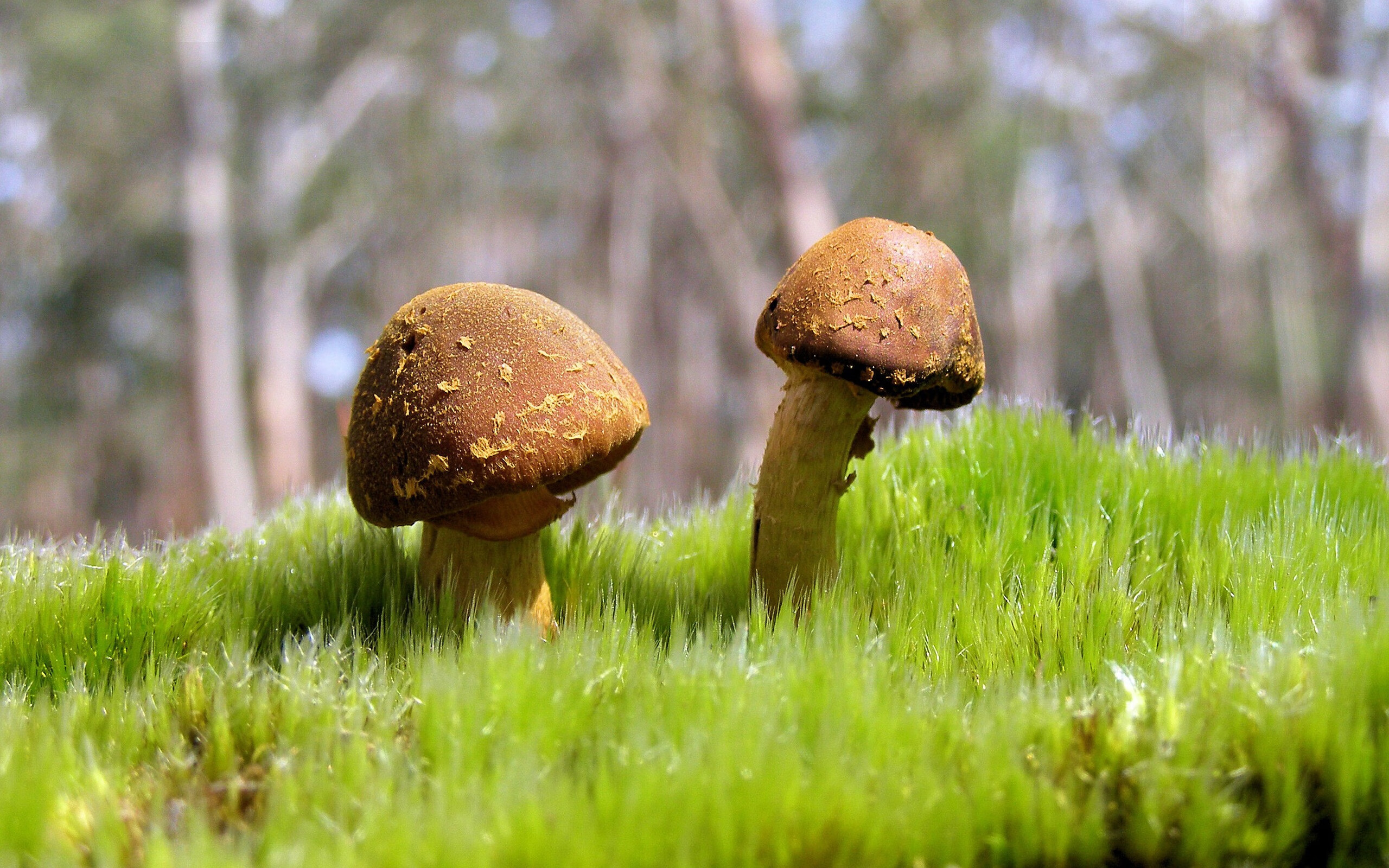 传奇巨星的“赎回之路”：退役后依然影响联盟的故事