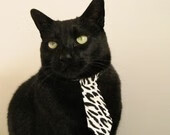 开云体育官方-墨西哥马术协会与兽医合作，开展马匹疾病预防与治疗研究。，墨西哥木马